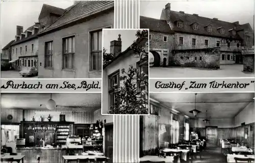Purbach am See, Gasthof Zum Türkentor -355146