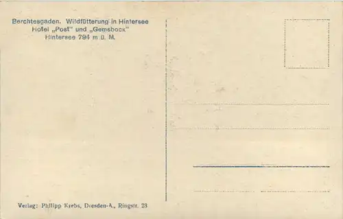 Wildfütterung in Hintersee bei Berchtesgaden -294476