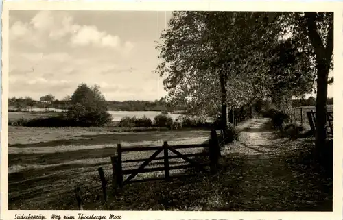 Süderbrarup - Weg zum Thorsberger Moor -423286