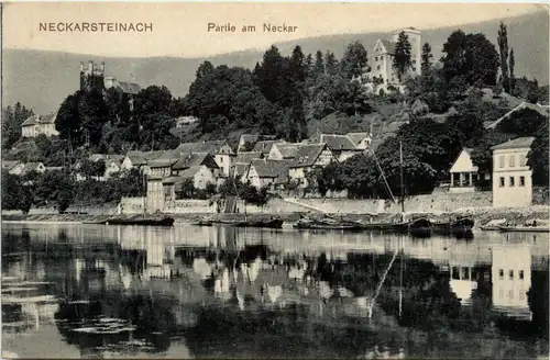 Neckarsteinach - Partie am Neckar -425668