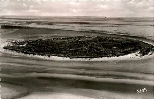 Nordsee Insel Scharhörn - Cuxhaven -423056