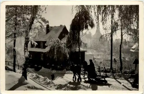 Seiffen im Erzgebirge -425888