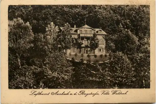 Auerbach an der Bergstrasse - Villa Waldruh -425532