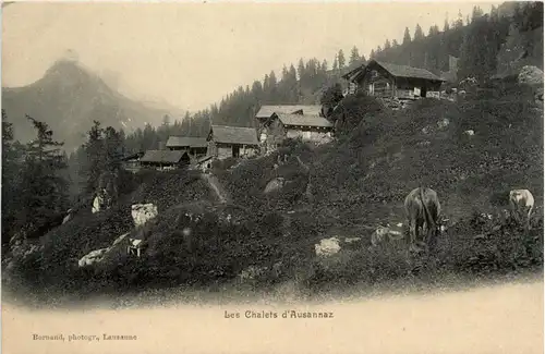 Le Chalets d Ausannaz -427022