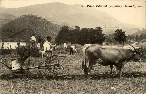 Guipuzcoa - Faenas Agricolas -427622