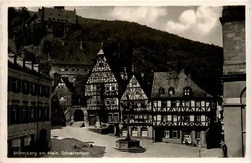 Miltenberg - Schnatterloch -426146