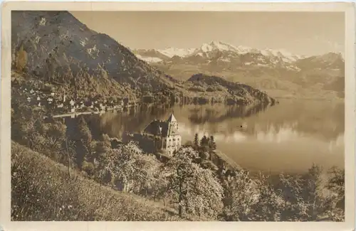 Vitznau mit Parkhotel -427310