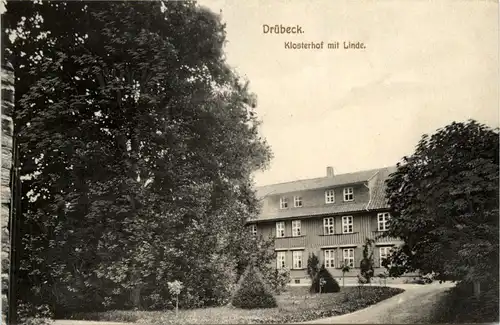 Drübeck - Klosterhof mit Linde - Ilsenburg -425556