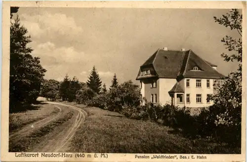 Neudorf im Harz - Harzgerode -428146
