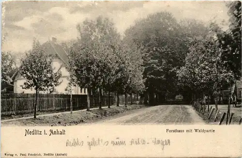 Nedlitz in Anhalt - Forsthaus mit Waldpartie -427968