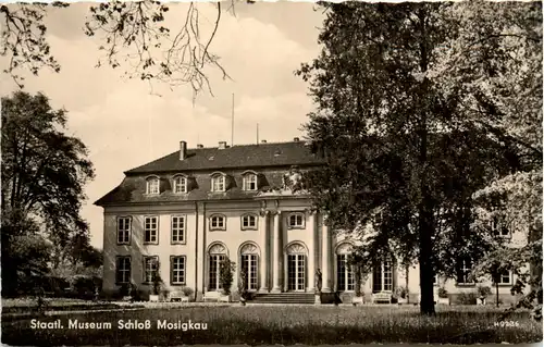 Schloss Mosigkau - Dessau -428308