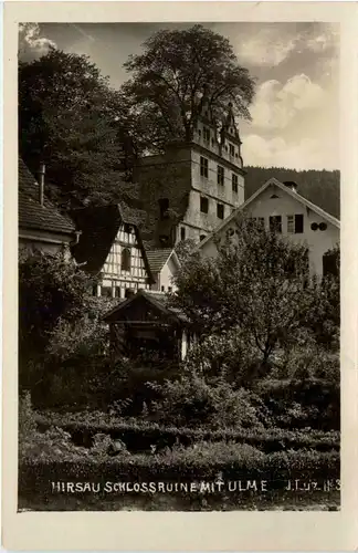 Hirsau, Schlossruine mit Ulme -356680