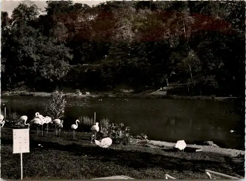 Saarbrücken, Deutschmühlenweiher -355724