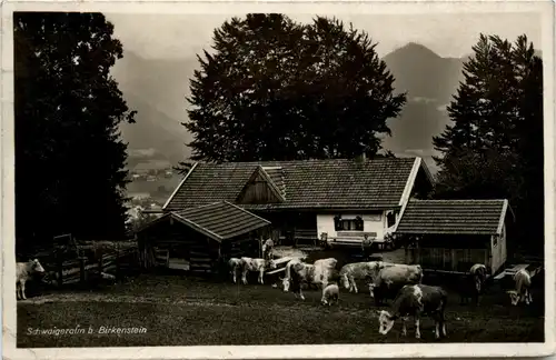 Schwaigeralm bei Birkenstein -355900