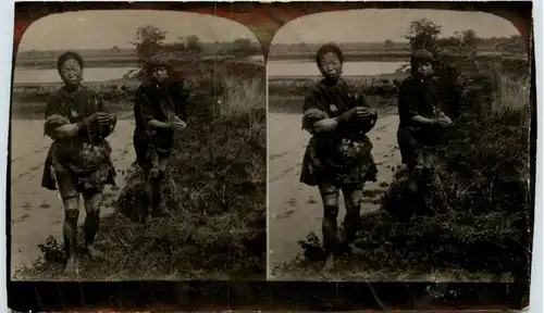 Reisfeld in Indien -74366