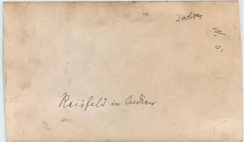 Reisfeld in Indien -74366