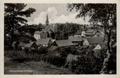 Güntersberge im Harz -428340