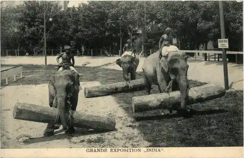 Grande Exposition India - Elefanten -74356