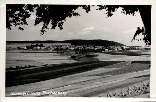 Sommerfrische Buchenberg -355614