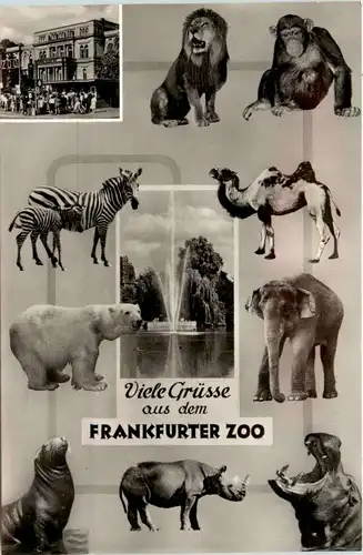 Grüsse aus dem Frankfurter Zoo -355694