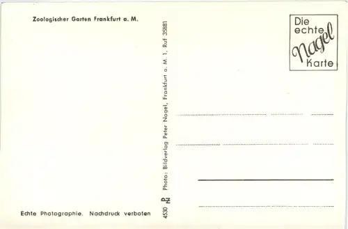 Grüsse aus dem Frankfurter Zoo -355694