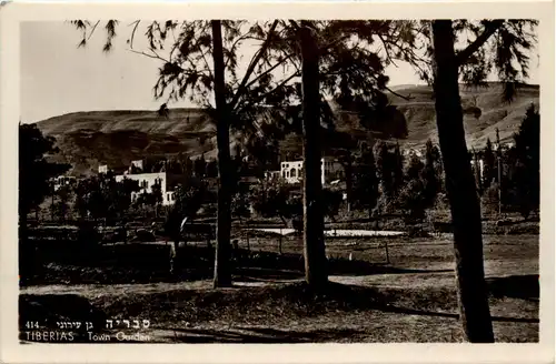 Tiberias Town Garden -74596