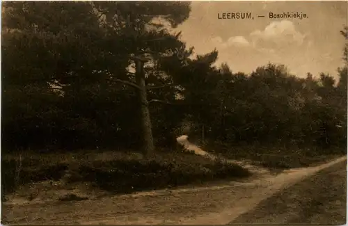 Leersum - Boschkiekje -428818