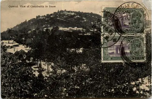 Chaubuttia in Snow -74314