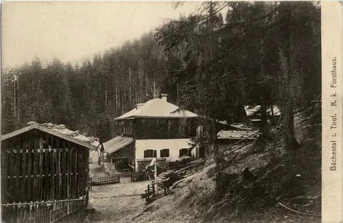 Bächental in Tirol - Forsthaus -74072