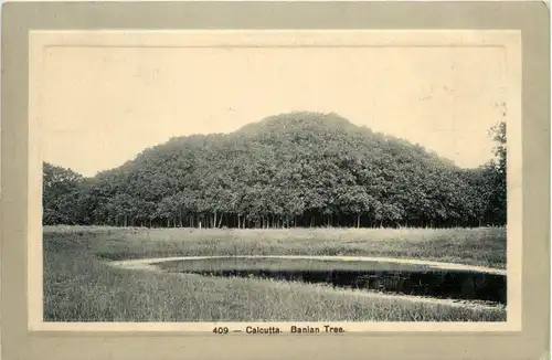 Calcutta - Banian Tree -74458