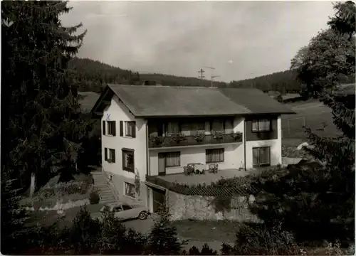 Schluchsee - Haus Franz -76710