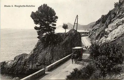 Strada S Margherita - Portofino -75016