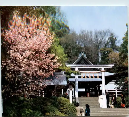Japan - Kamakura -76908