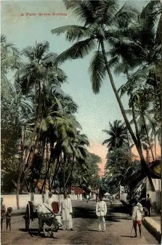 Bombay Palm Grove -74532