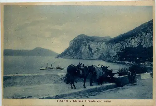 Capri - Marina Grande con asini -75330