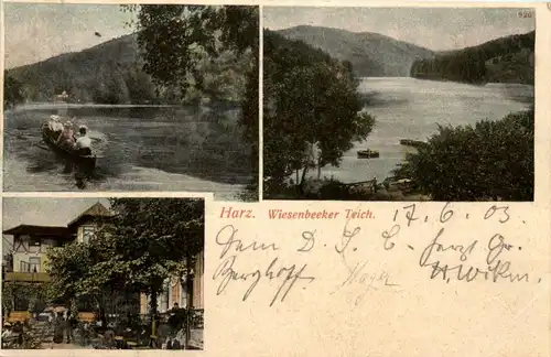Bad Lauterberg - Wiesenbeeker Teich -402004