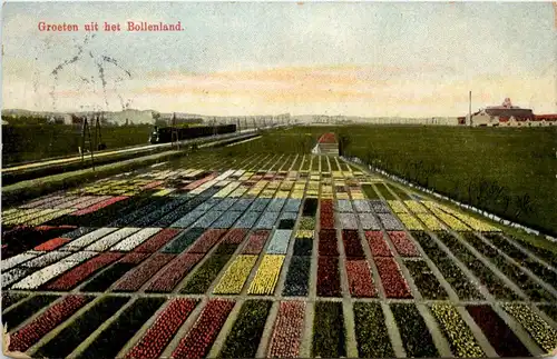 Groeten uit bet Bollenland -76348