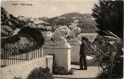 Capri - Villa Krupp -78238