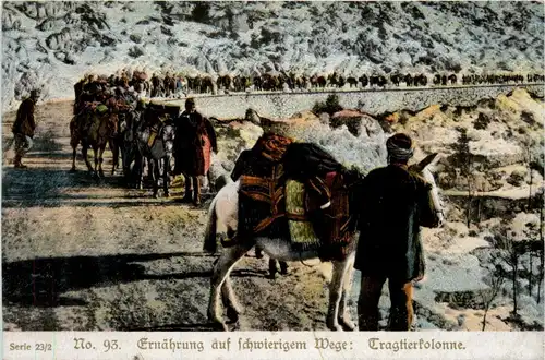 Ernährung auf schwierigem Wege - Tragtierkolonne -403190