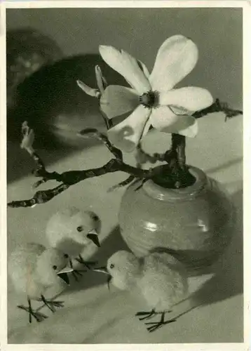 SOS-Kinderdorf -77846