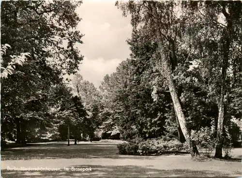 Berlin-Niederschönhausen - Brosepark -77126