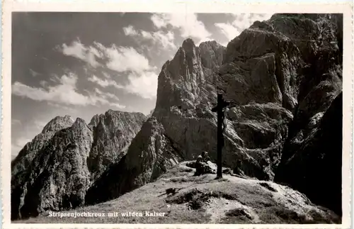 Stripsenjochkreuz mit wilden Kaiser -329988