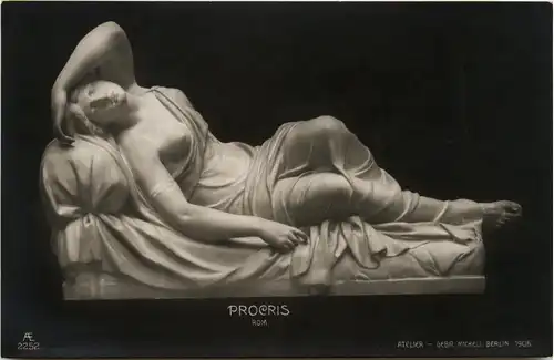 Procris -77624