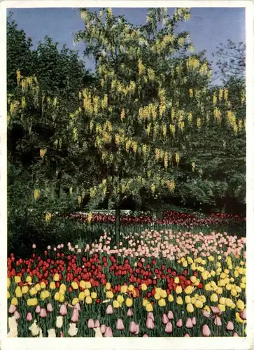 Hamburg - Intern. Gartenbau-Ausstellung Hamburg 1963 -330146