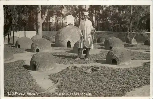 Paulo Brazil - Butantan Serpentiario - Snake -77358