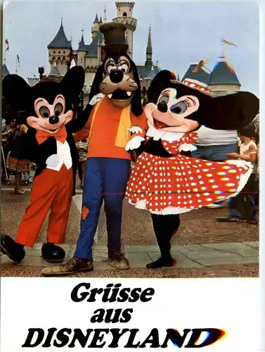 Grüsse aus Disneyland -77998