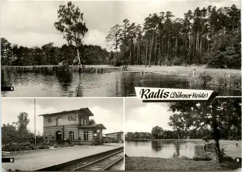 Radis - Dübener Heide - Kemberg -76222