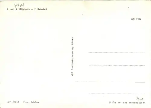 Radis - Dübener Heide - Kemberg -76222