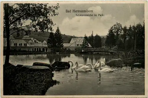 Bad Hermannsborn, Schwanenteiche im Park -357188