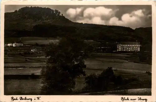 Bad Driburg, Blick zur Iburg -357190